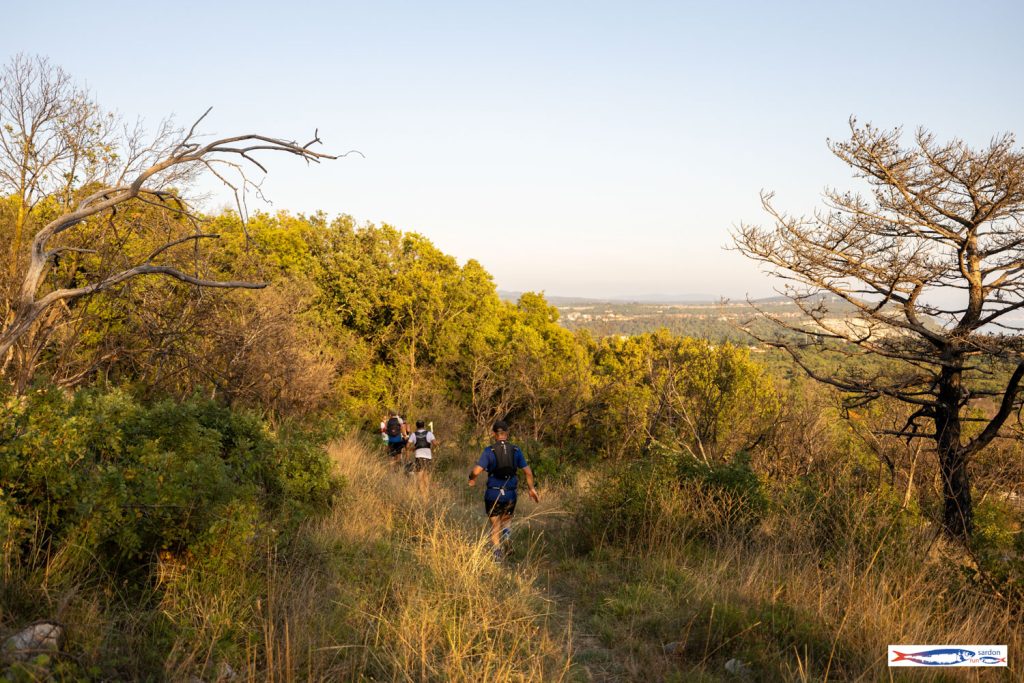 Runner attraversano la landa carsica al tramonto con vista aperta verso la costa — Sardon Run